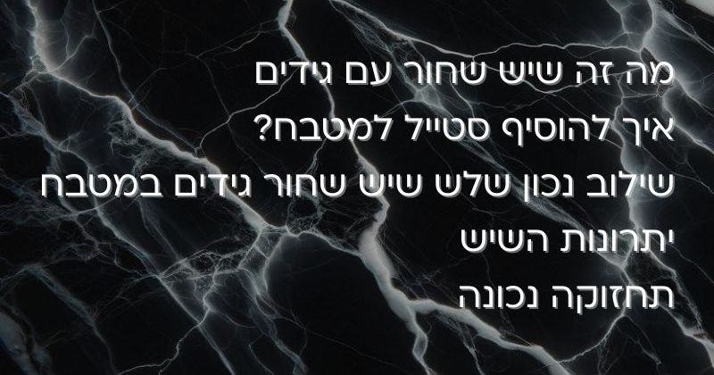 שיש שחור גידים