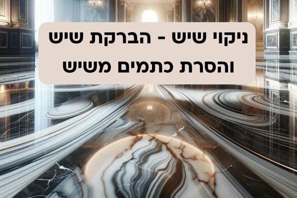 ניקוי שיש